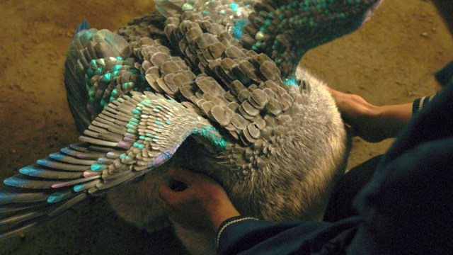 Morris in 'Shang-Chi' Was Almost Peak Nightmare Fuel Before Becoming the Cuddly Creature We Got - Vimarsana News