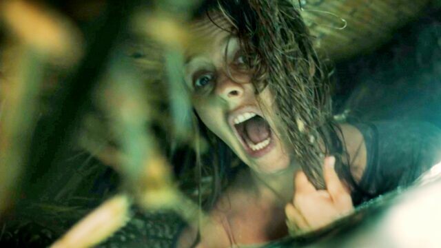 Exclusive: 'The Requin' Director Brings Haunted House Feel to Shark Film - Vimarsana News