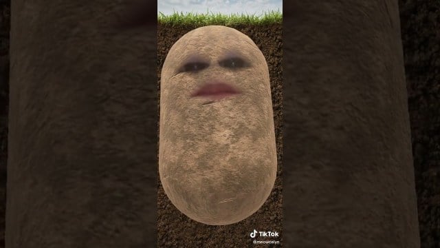 What is the 'I’m a Potato' Sound? Viral TikTok Audio Explained