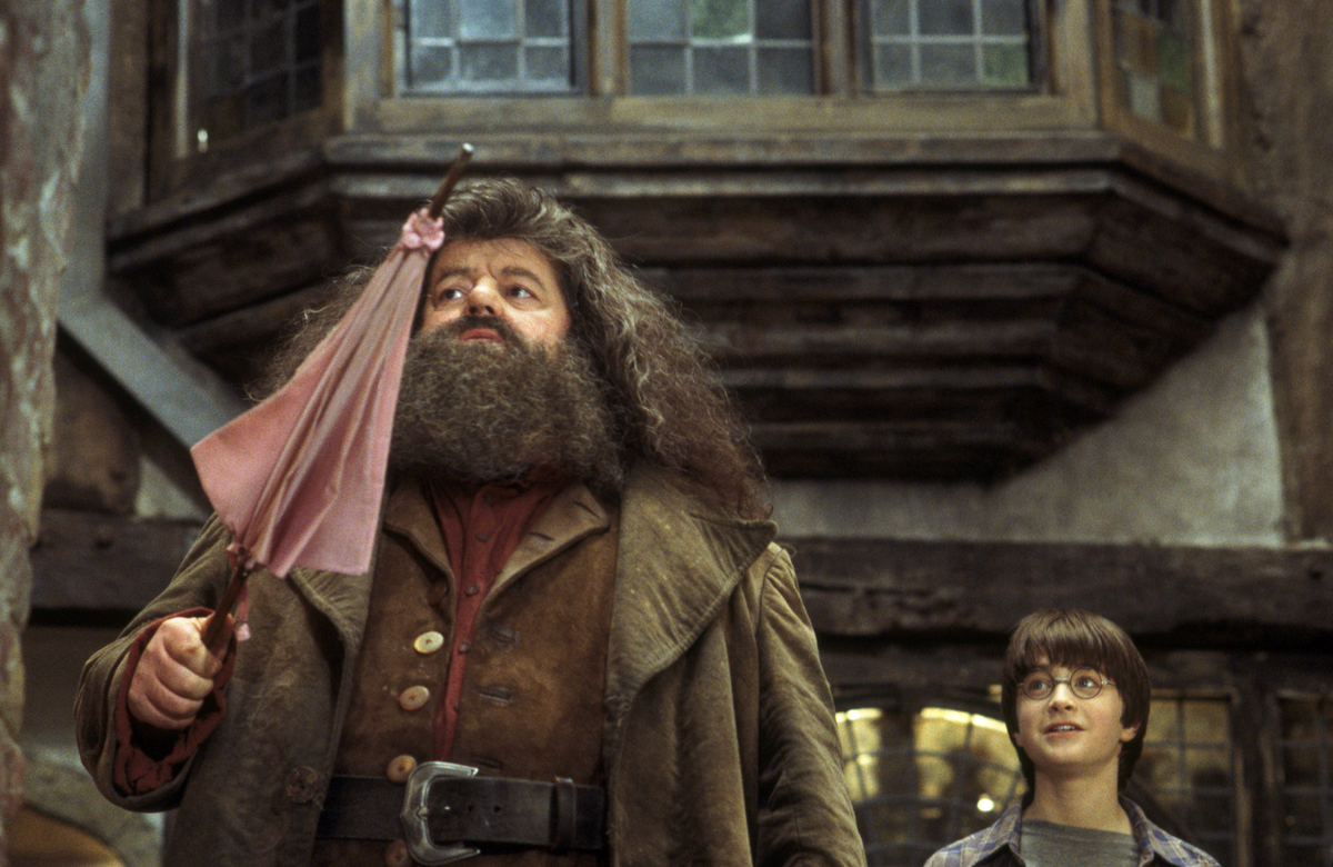Hagrid and Harry Potter
