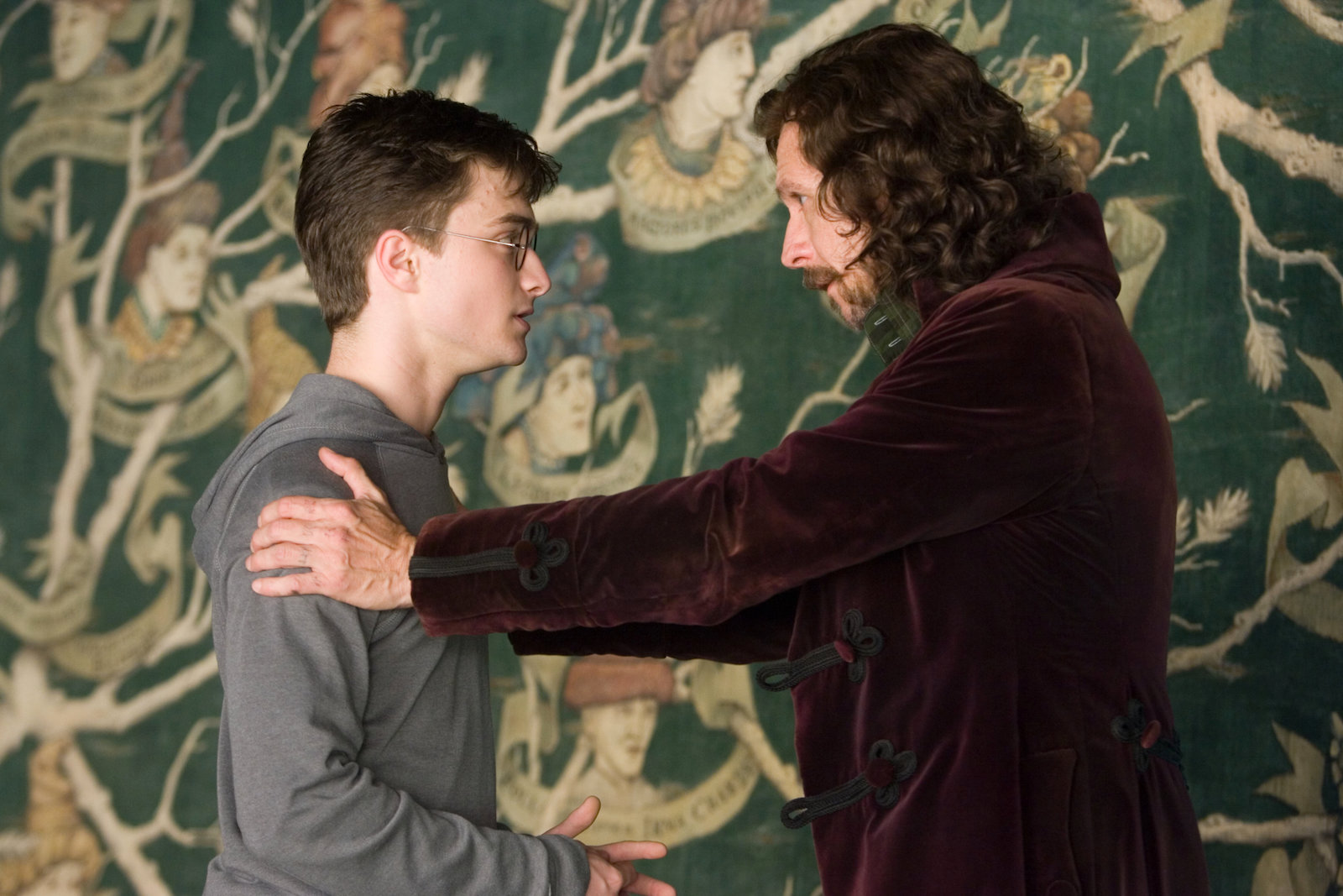 What Is the Veil in 'Harry Potter and the Order of the Phoenix?'