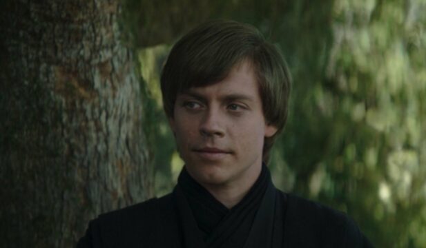 Who Plays Luke Skywalker in 'The Book of Boba Fett'? - Vimarsana News