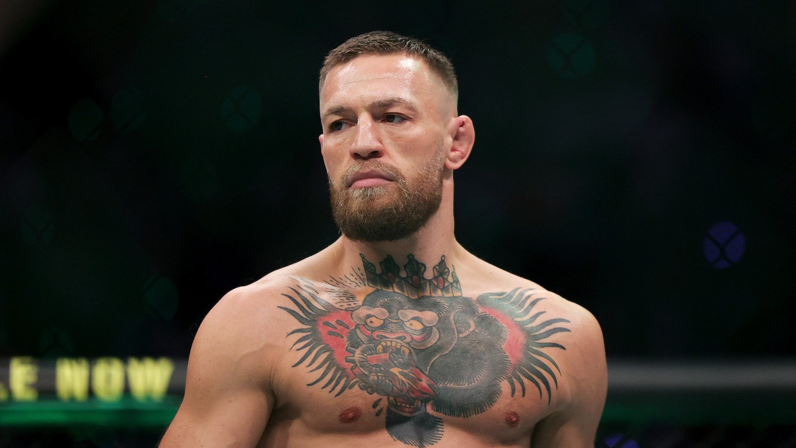 UFC Star Conor McGregor Arrested In Ireland