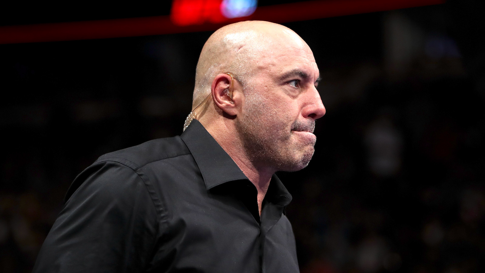 What Is Joe Rogan's Net Worth?