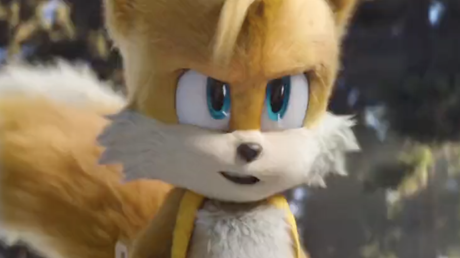 Is tails from sonic a boy or girl