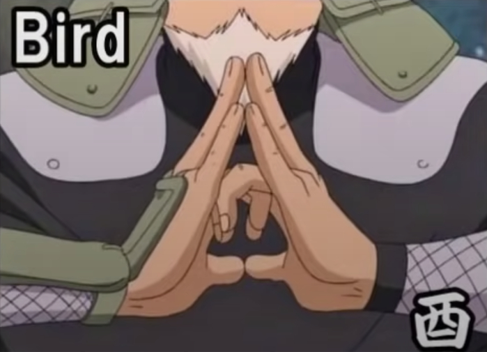 All 12 Basic ‘Naruto’ Hand Signs and What They Mean