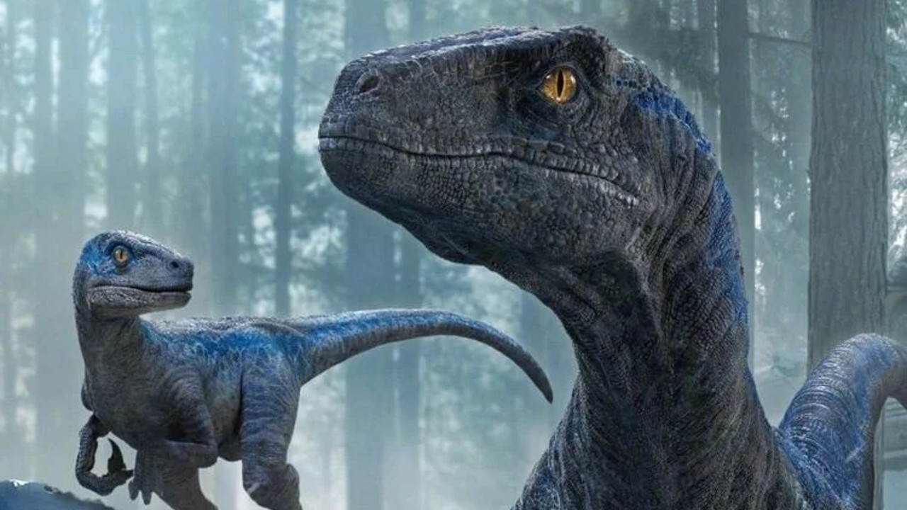 Echo the Velociraptor Fan Casting