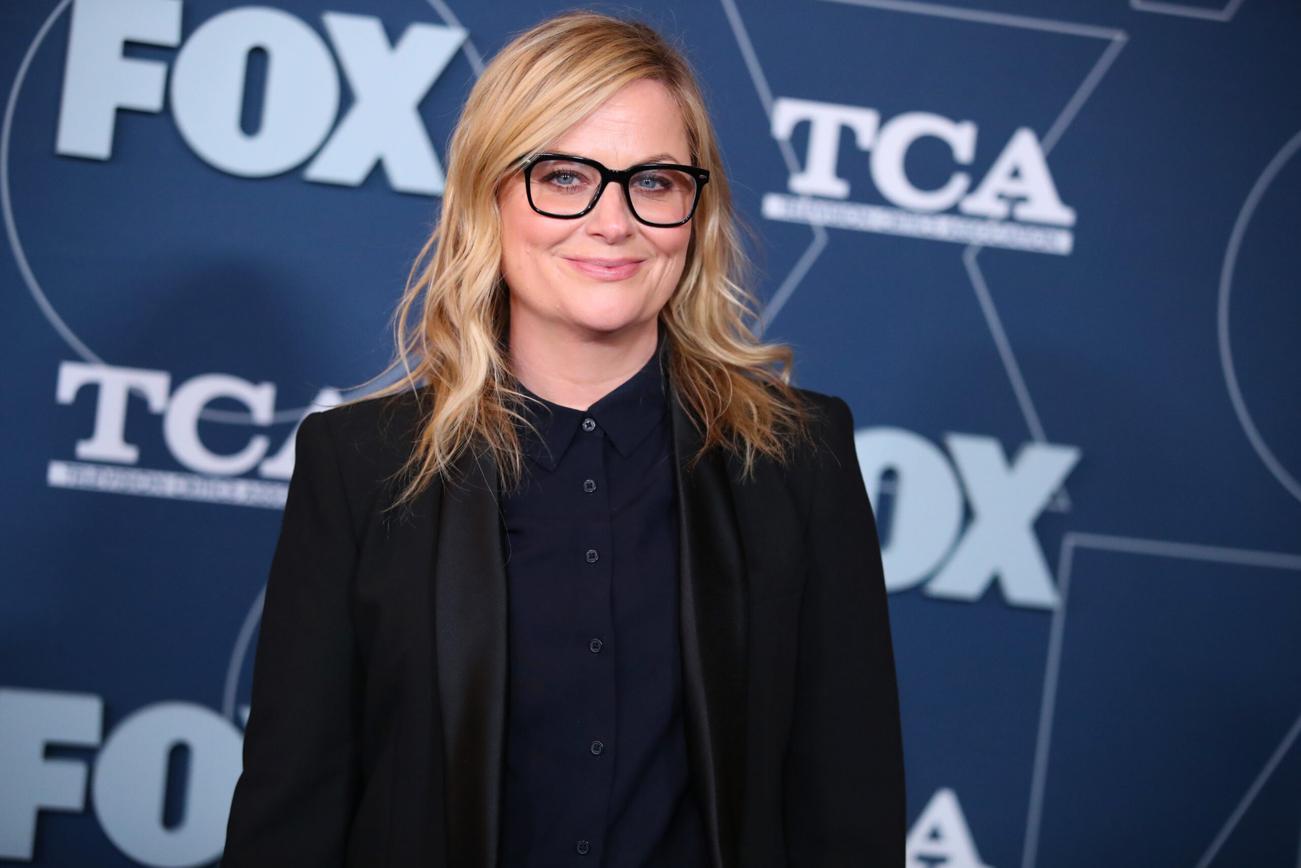 Amy Poehler says she’s into a ‘Parks and Recreation’ reboot … but are fans?