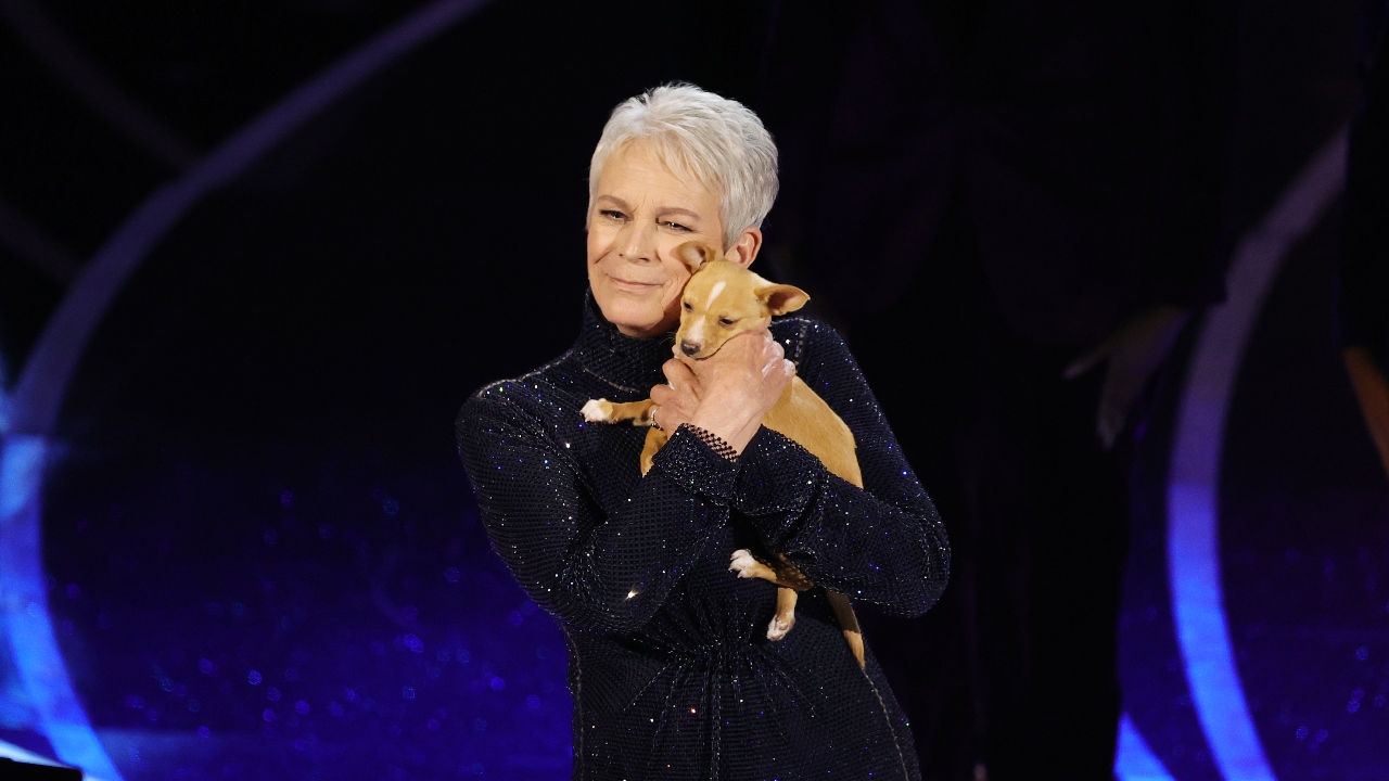 Blumhouse and Jamie Lee Curtis Producing Maple Syrup Heist Series