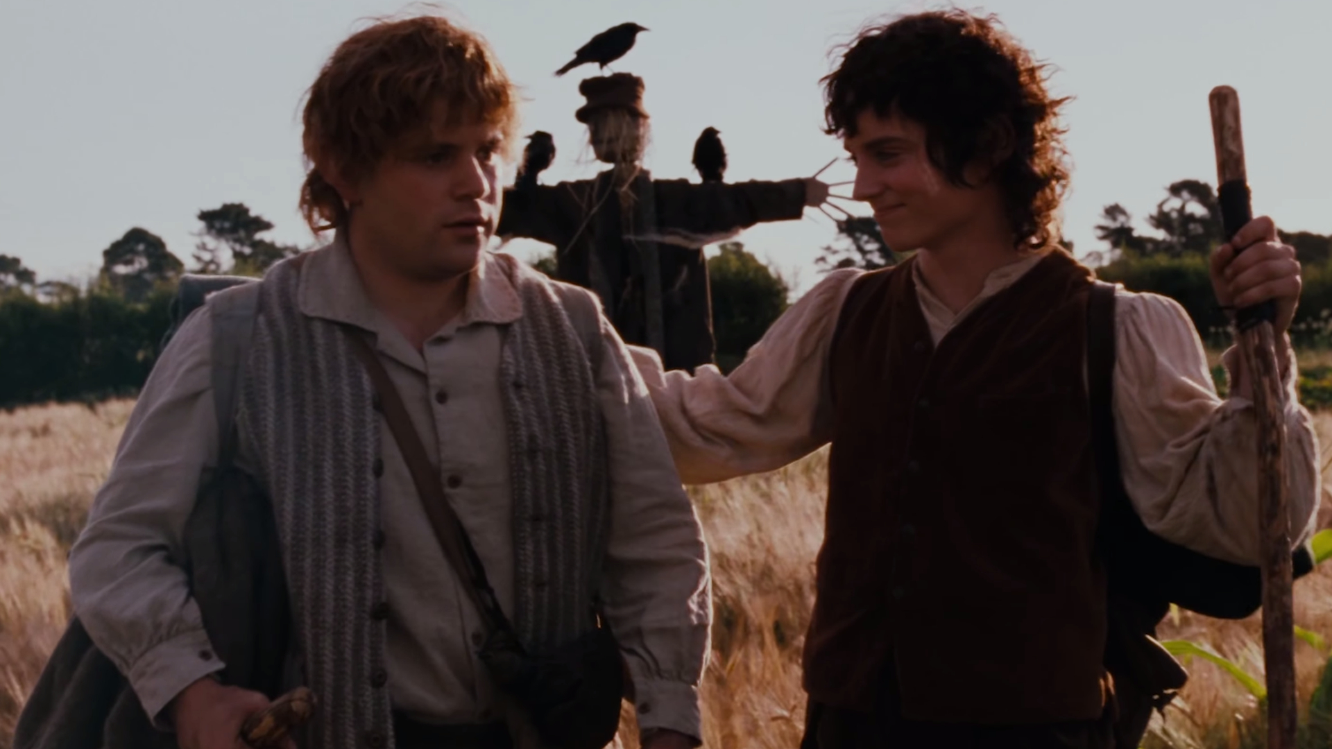 Frodo y Sam - El señor de los anillos