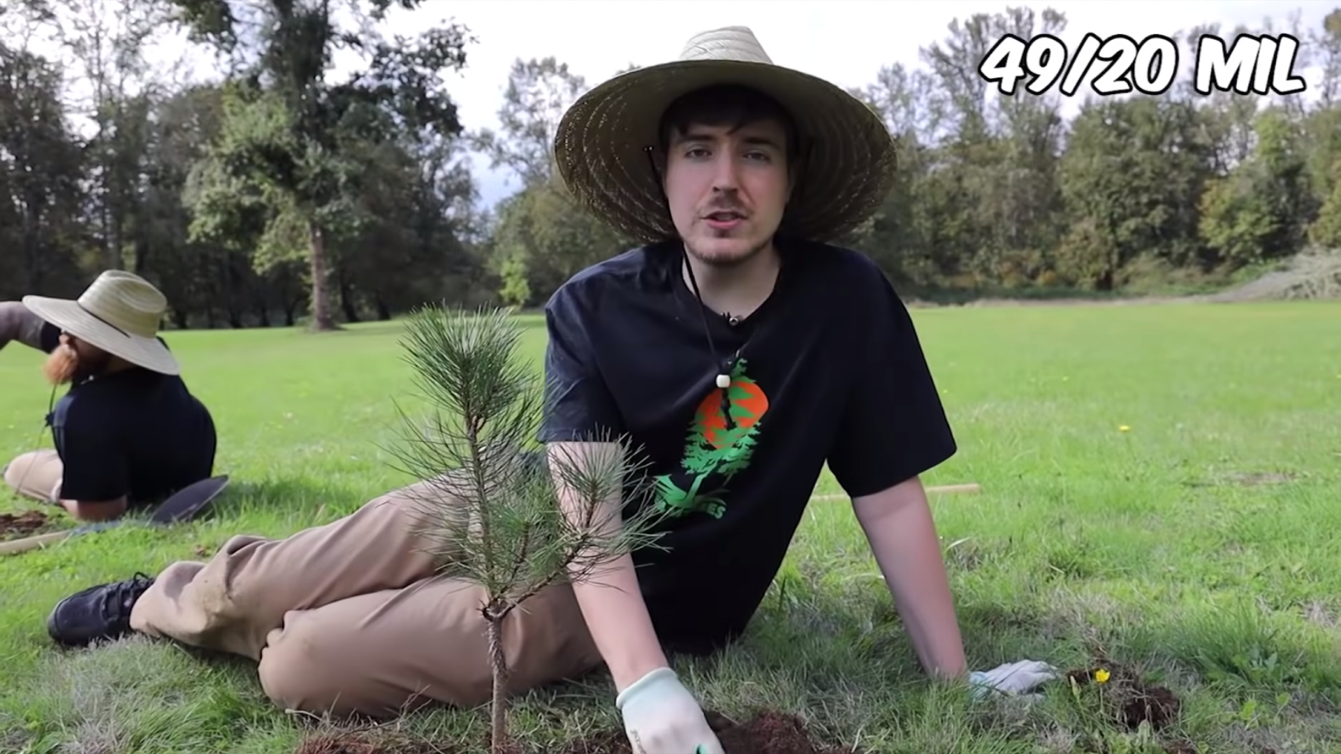 MrBeast - Team Tree