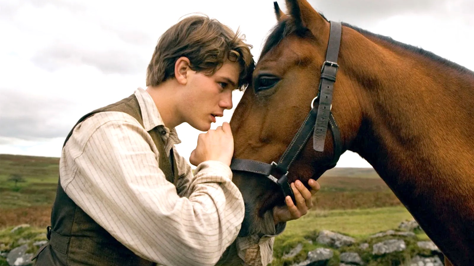 The best horse movies of all time