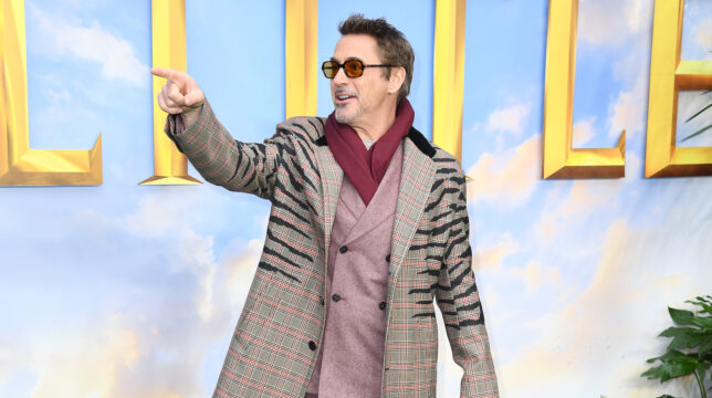 Robert Downey Jr. Is Co-Writing an Environmentally-Friendly Cookbook - Vimarsana News