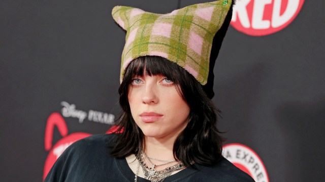 Does Billie Eilish Have a Sister? Here’s All Her Sibling Information