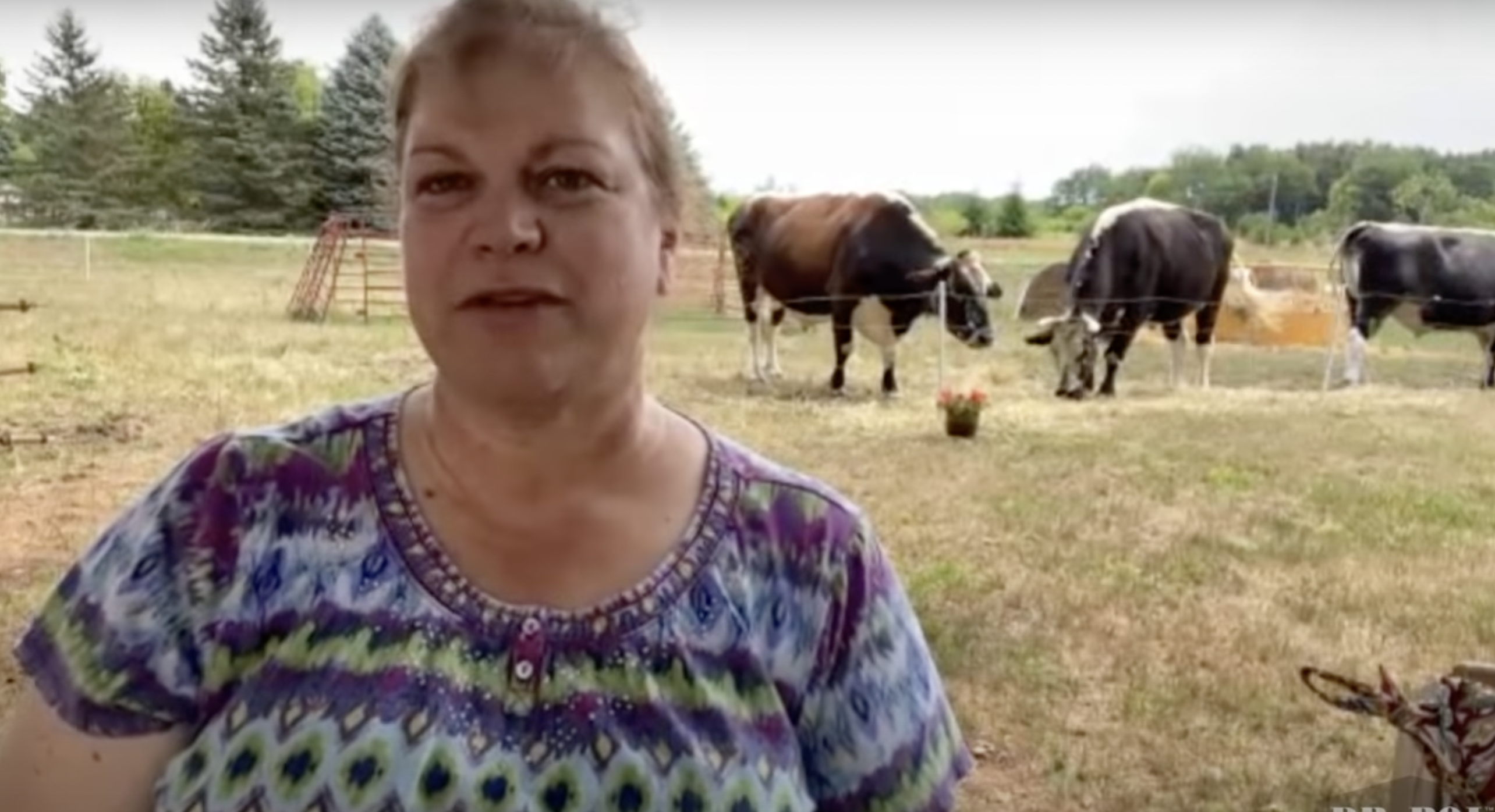 What happened to Dr Brenda on Dr Pol?