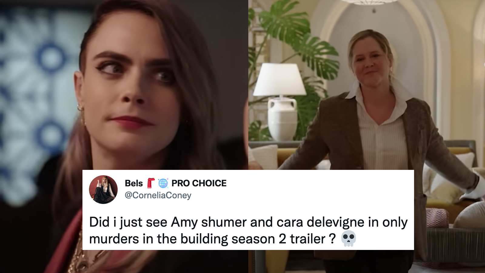 Fans Cringe Over Amy Schumer and Cara Delevingne in 'Only Murders In The Building' - We Got This Covered