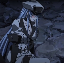 Esdeath in her uniform and hat