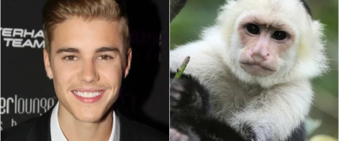 8 celebrities with exotic animals (Pet tigers, monkeys and more)