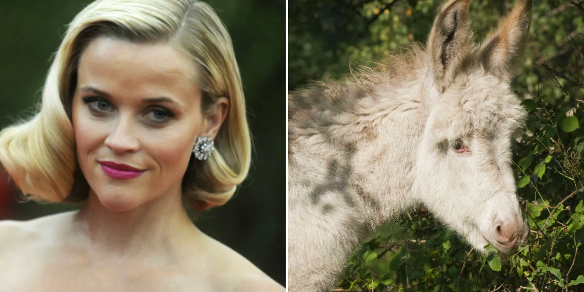 Reese Witherspoon et sa ribambelle d'animaux exotiques