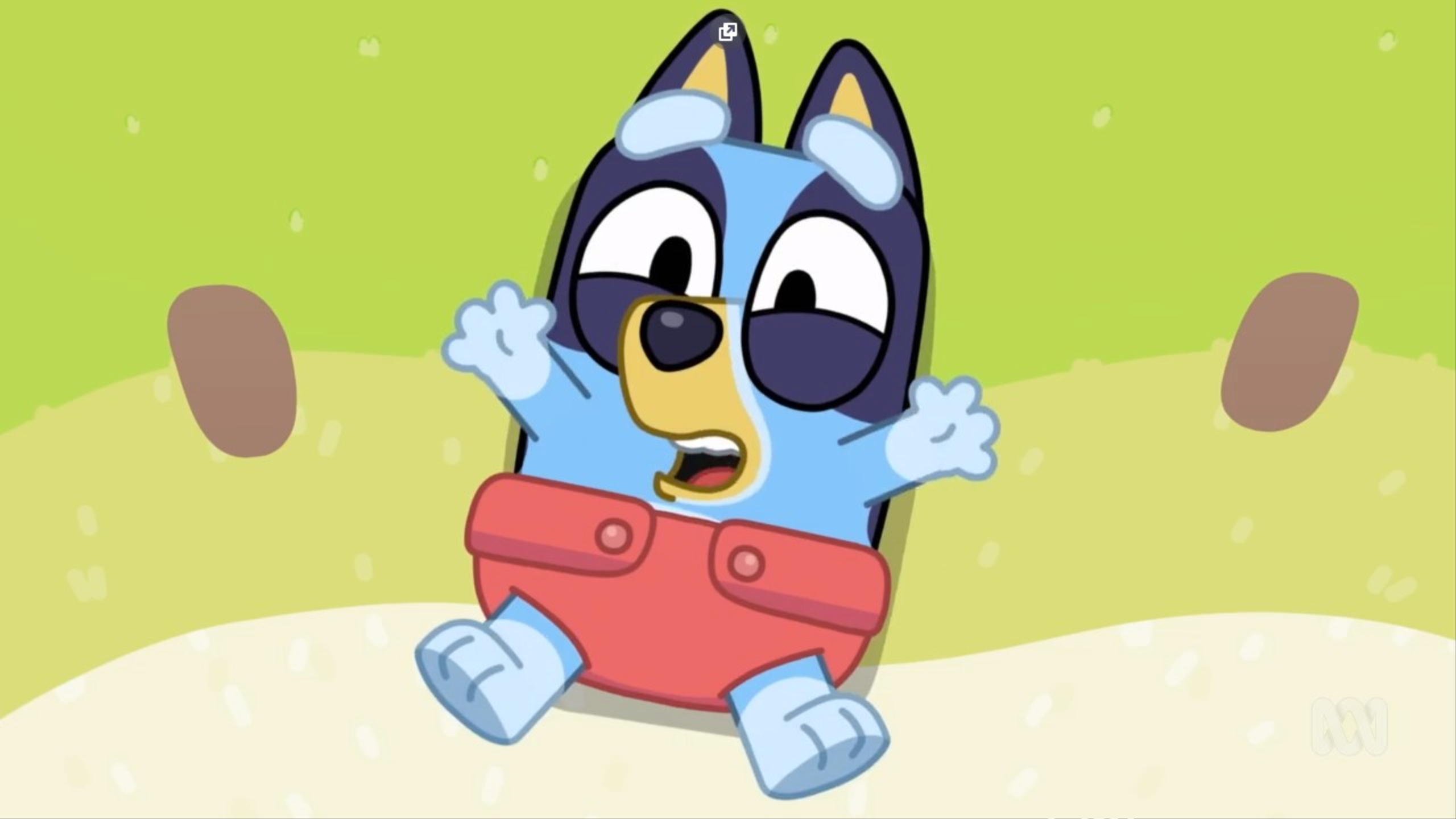 Top 10 'Bluey' Episodes