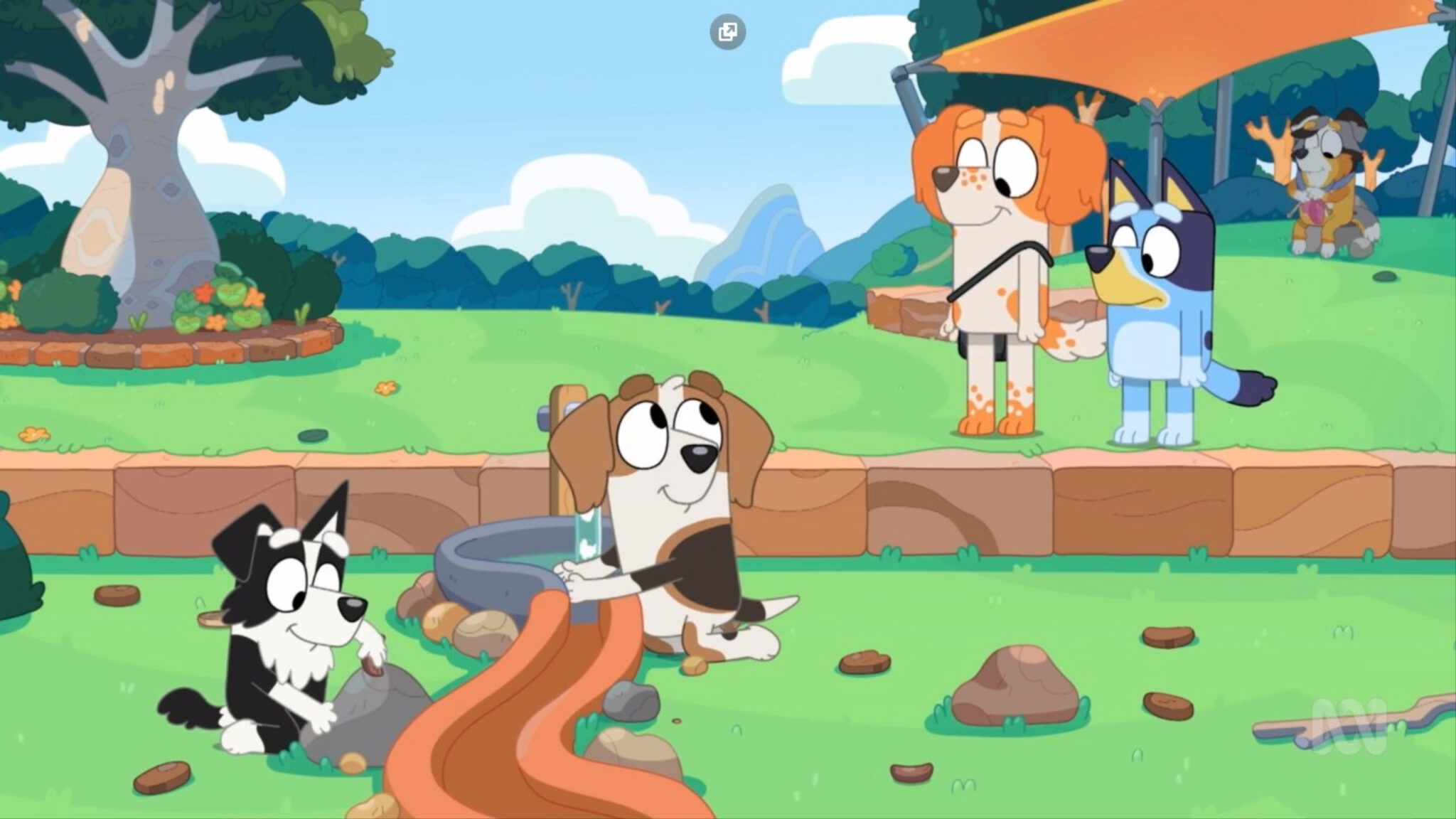 Top 10 'Bluey' Episodes