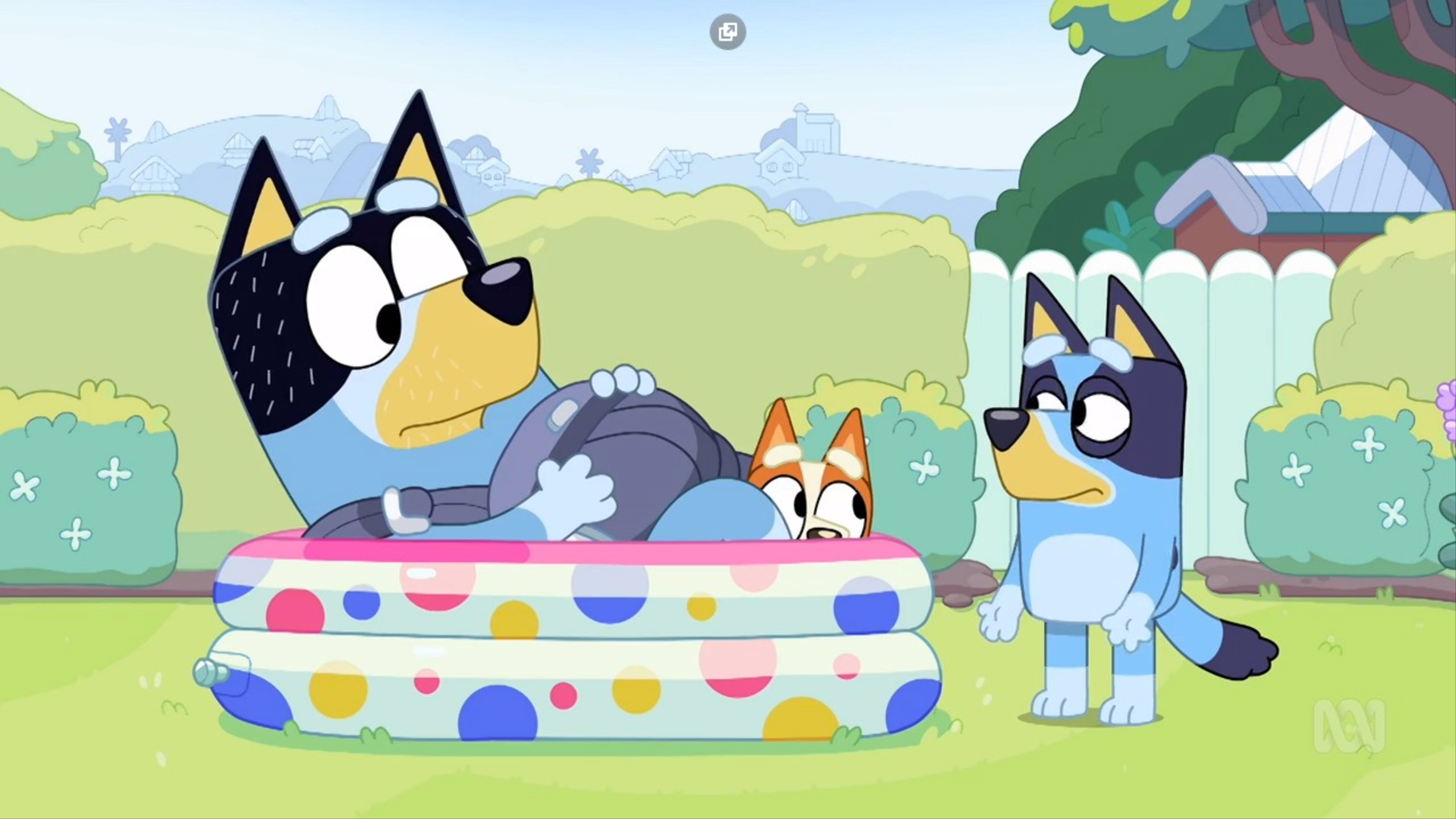 Top 10 Bluey Episodes 