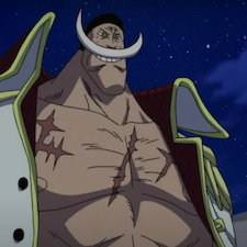 Whitebeard standing with his jacket open