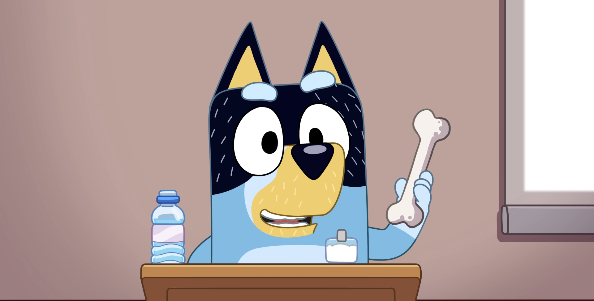 Top 10 Bluey Episodes