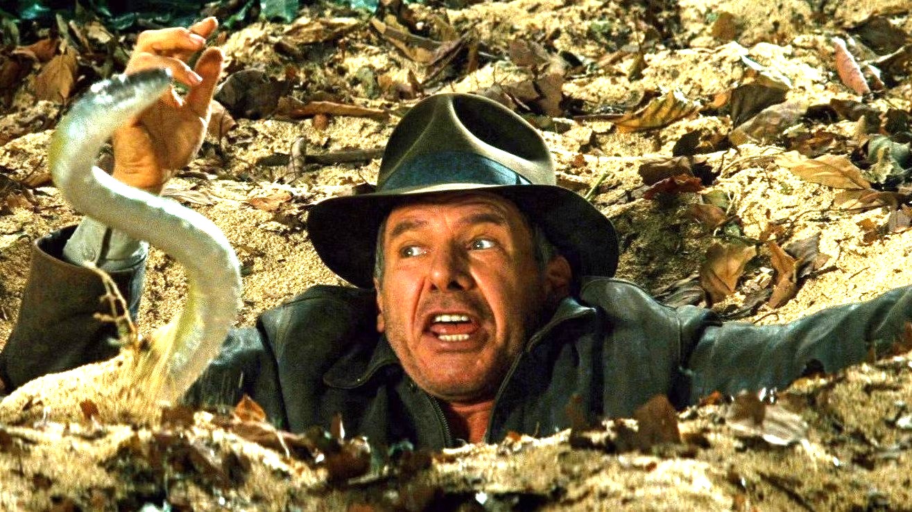 Indiana Jones Better Conquer That Fear of Snakes Because Harrison Ford Just  Had One Named After Him