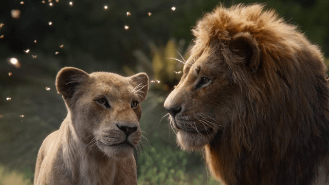 Nala and Simba, The Lion King (2019)
