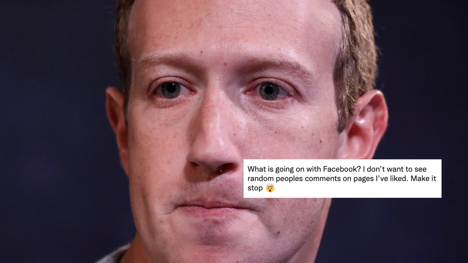 NoOne Knows Why Facebook Is Showing Everyone Posts On Celebrities' Pages