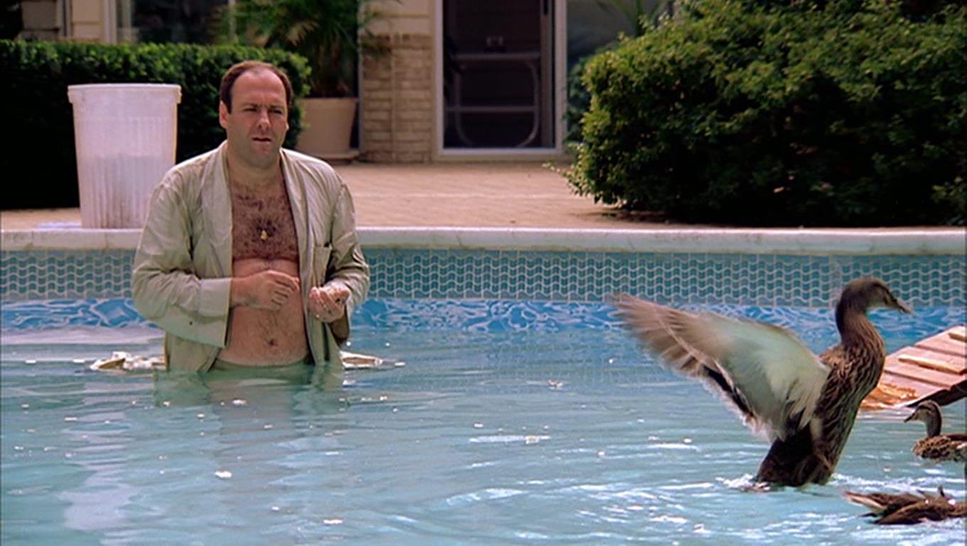 Tony from The Sopranos stands fully clothed in a pool. 