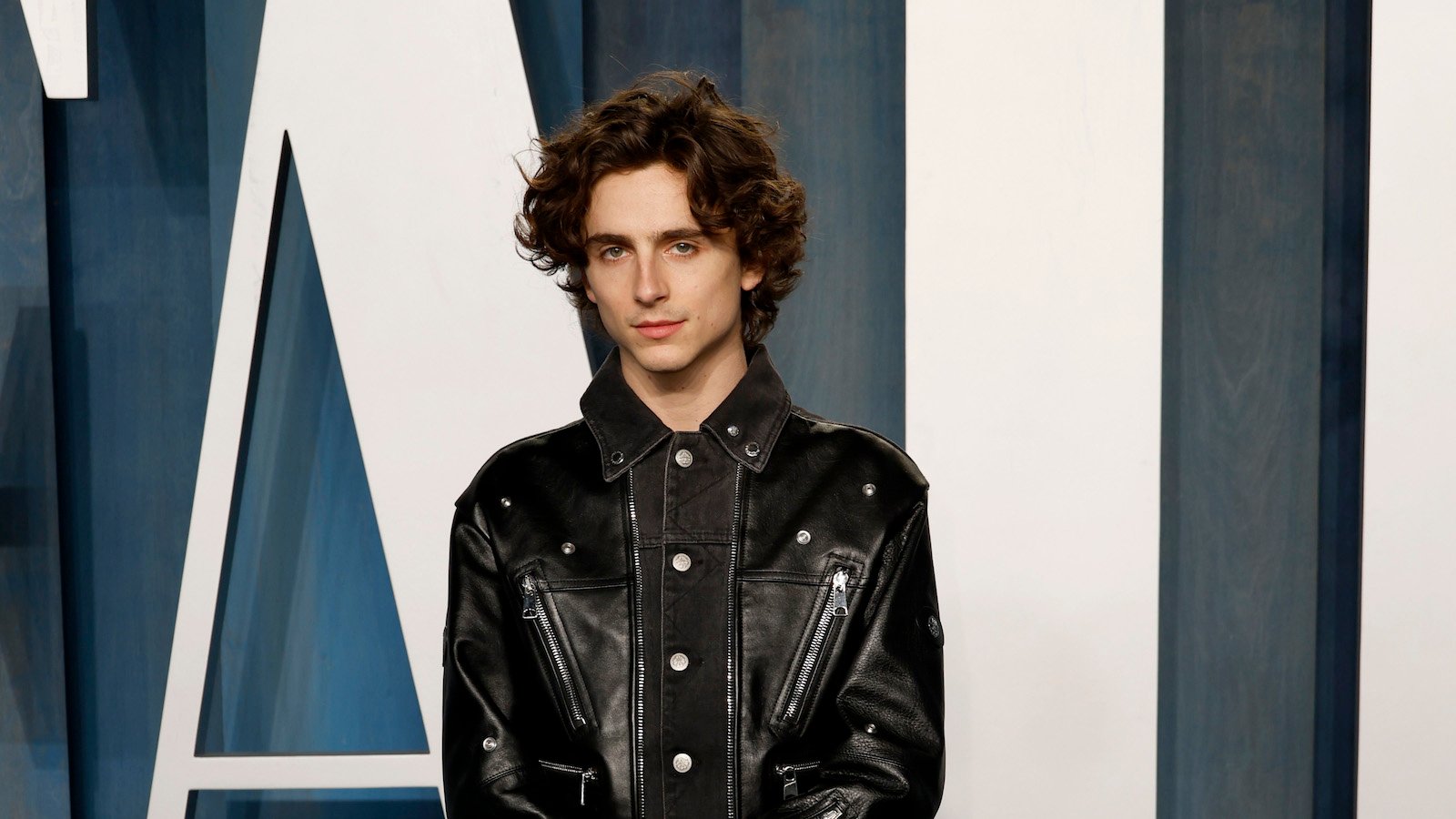 Timothee Chalamet Shares Teaser For The Cannibal Movie Bones And All