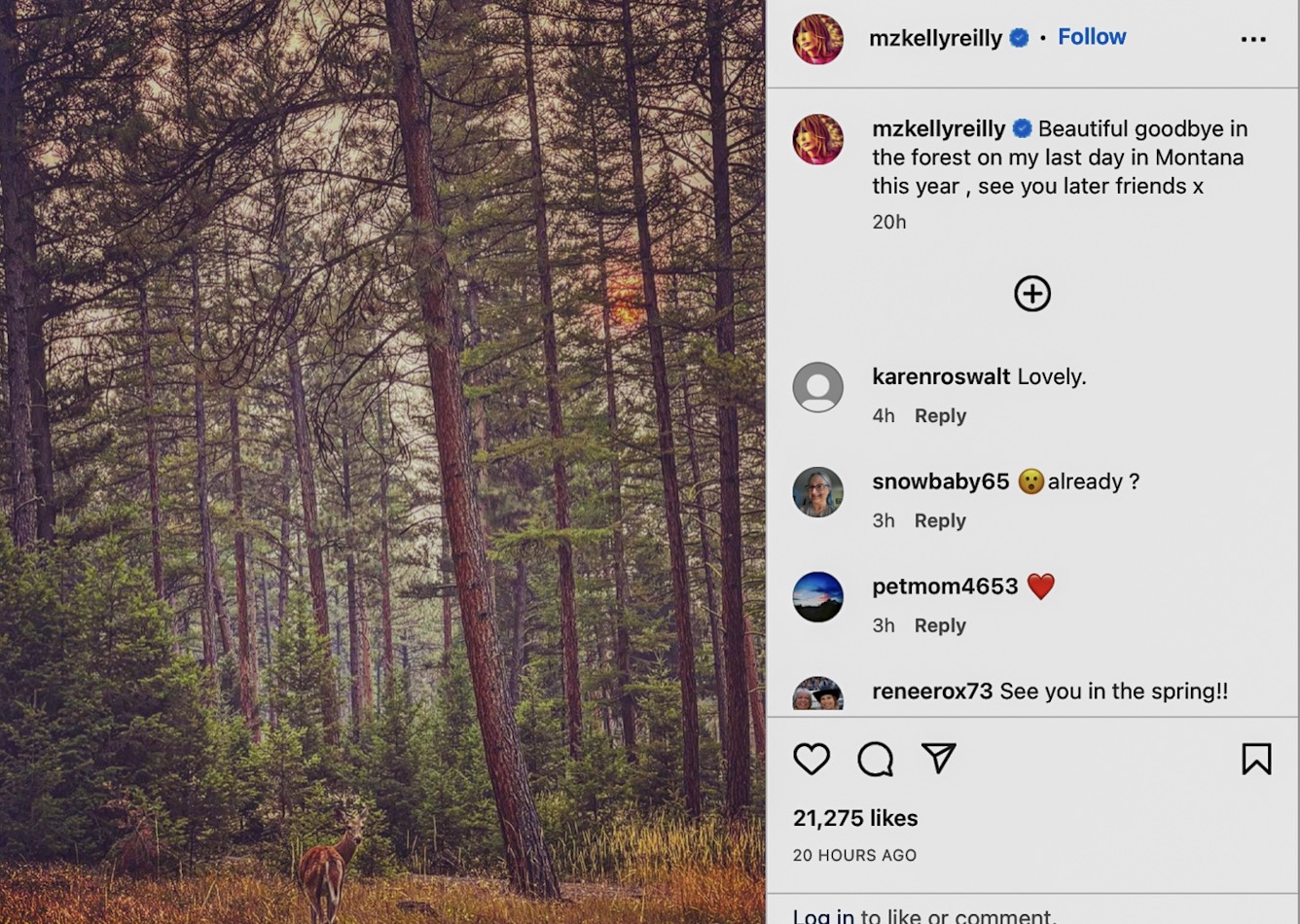 Latest ‘Yellowstone’ News Kelly Reilly Steps off Dutton Ranch for Now