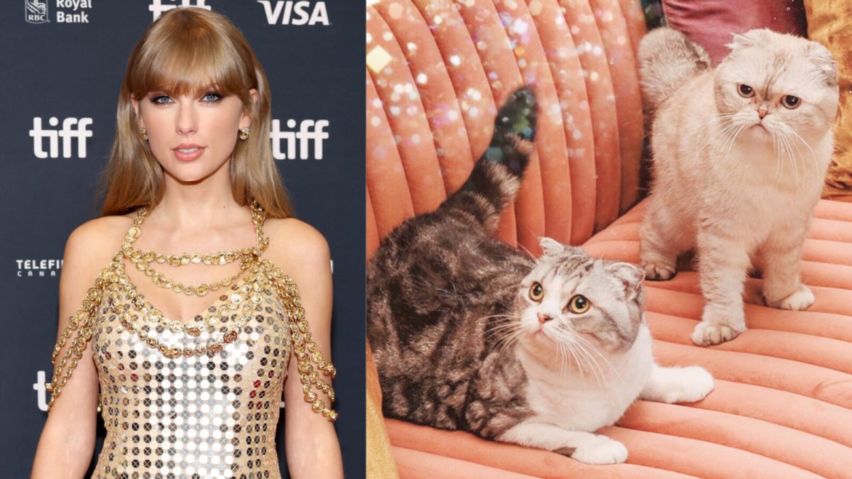 Taylor Swift and her cats