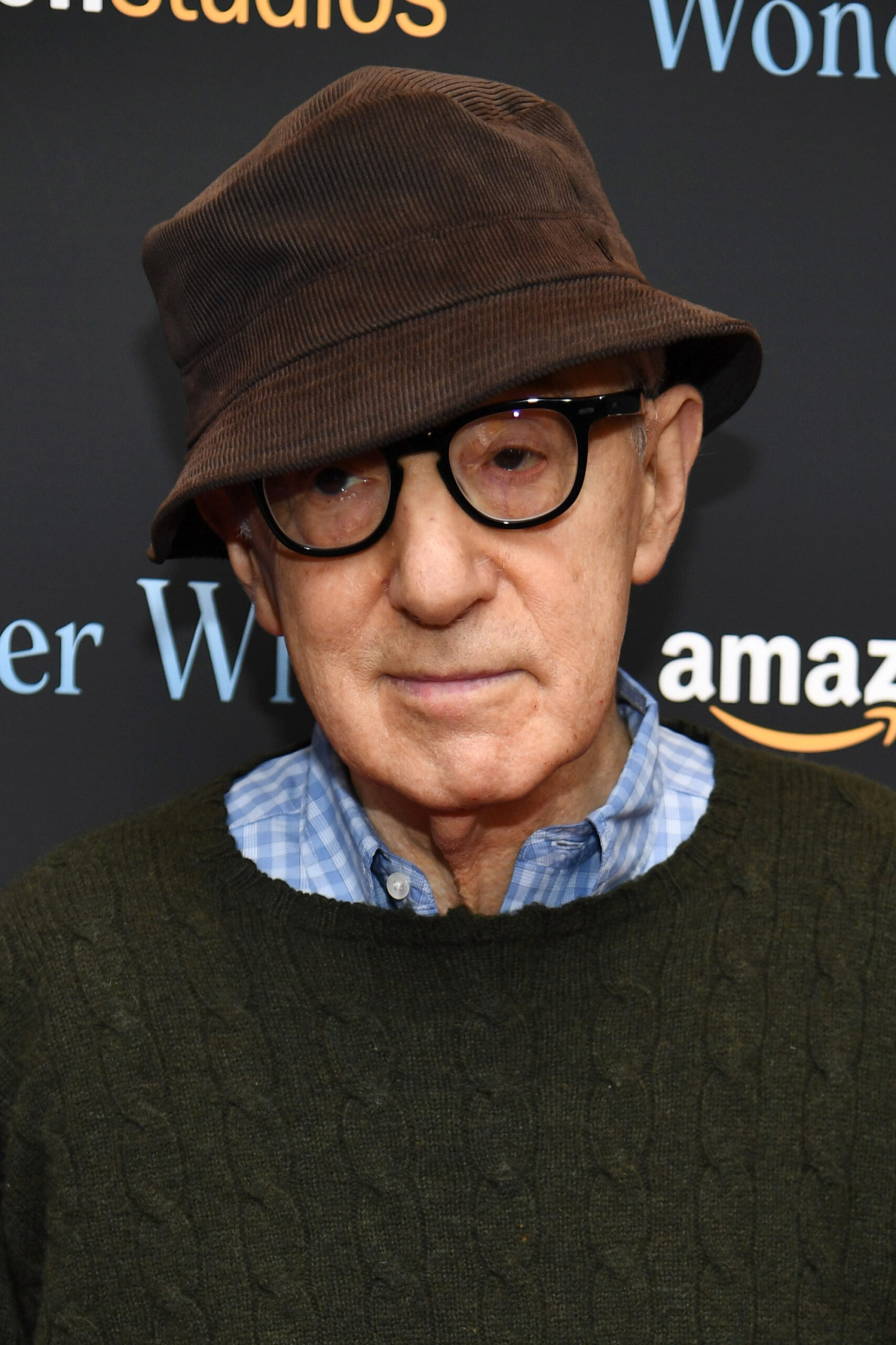 NEW YORK, NY - NOVEMBER 14: Woody Allen attended "wonder wheel" Screening at the Museum of Modern Art on November 14, 2017 in New York City.