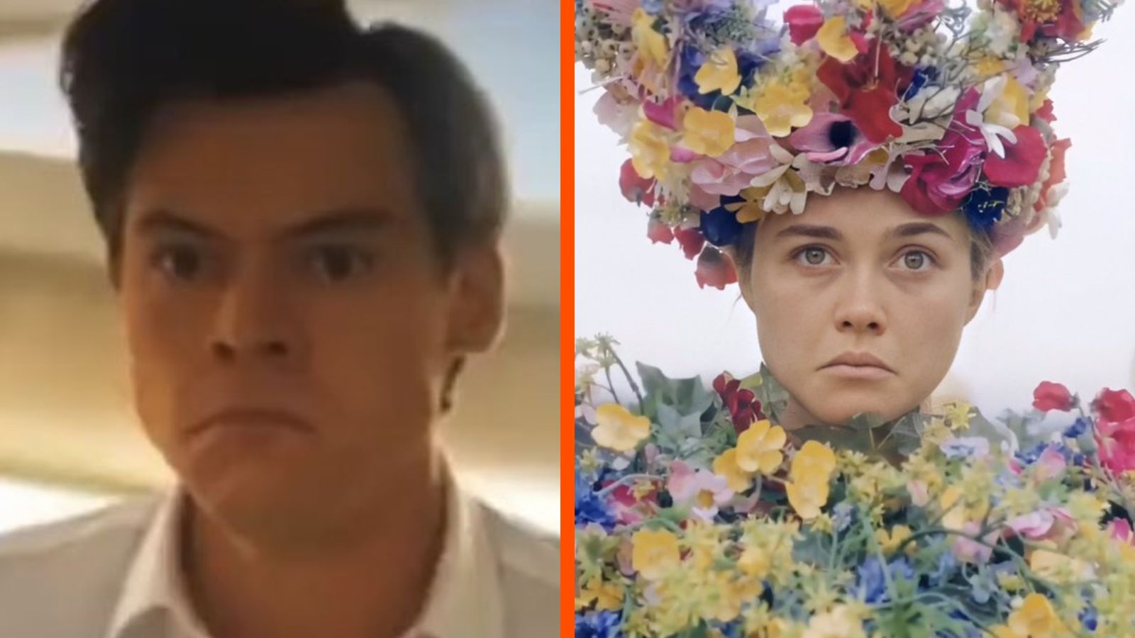 harry styles florence pugh dont worry darling midsommar pout