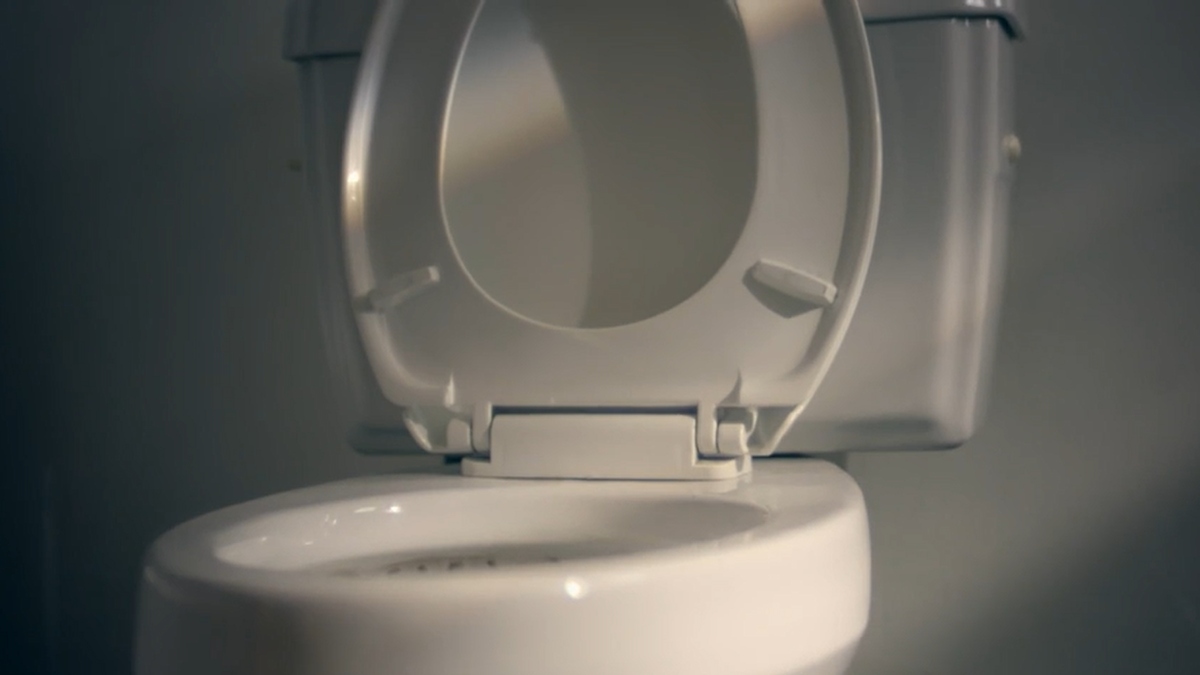 Phrogger toilet seat 