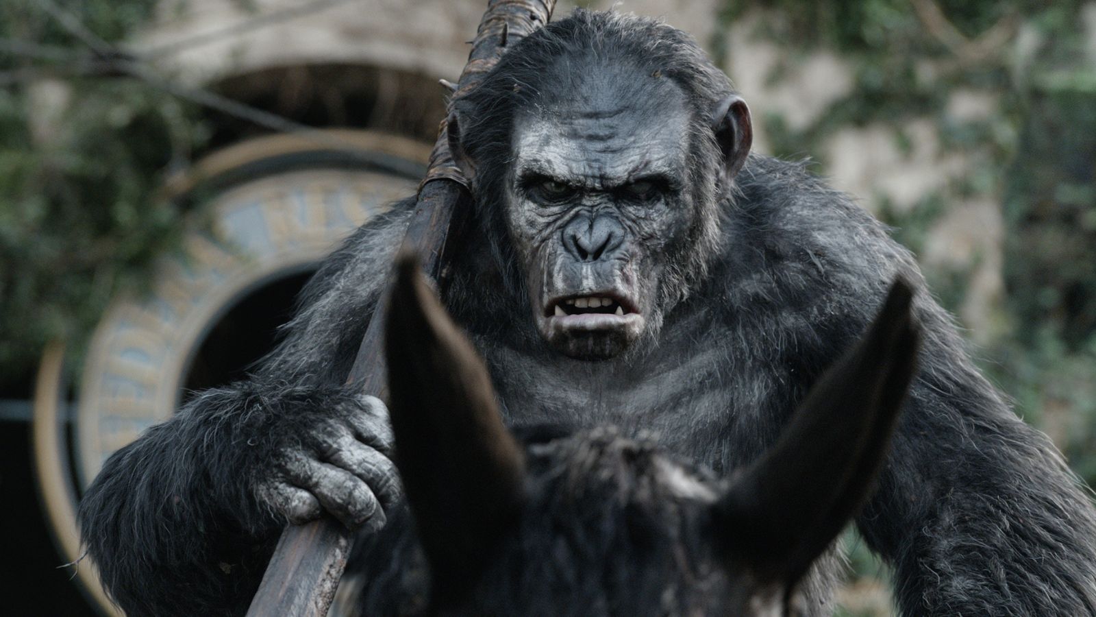 Movie Fans Debate Where the ‘Planet of the Apes’ Trilogy Ranks