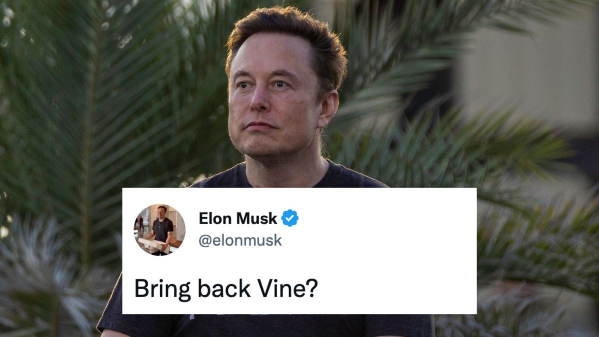 Elon Musk Twitter Vine