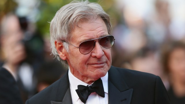 Harrison Ford attends the 2014 Cannes Film Festival