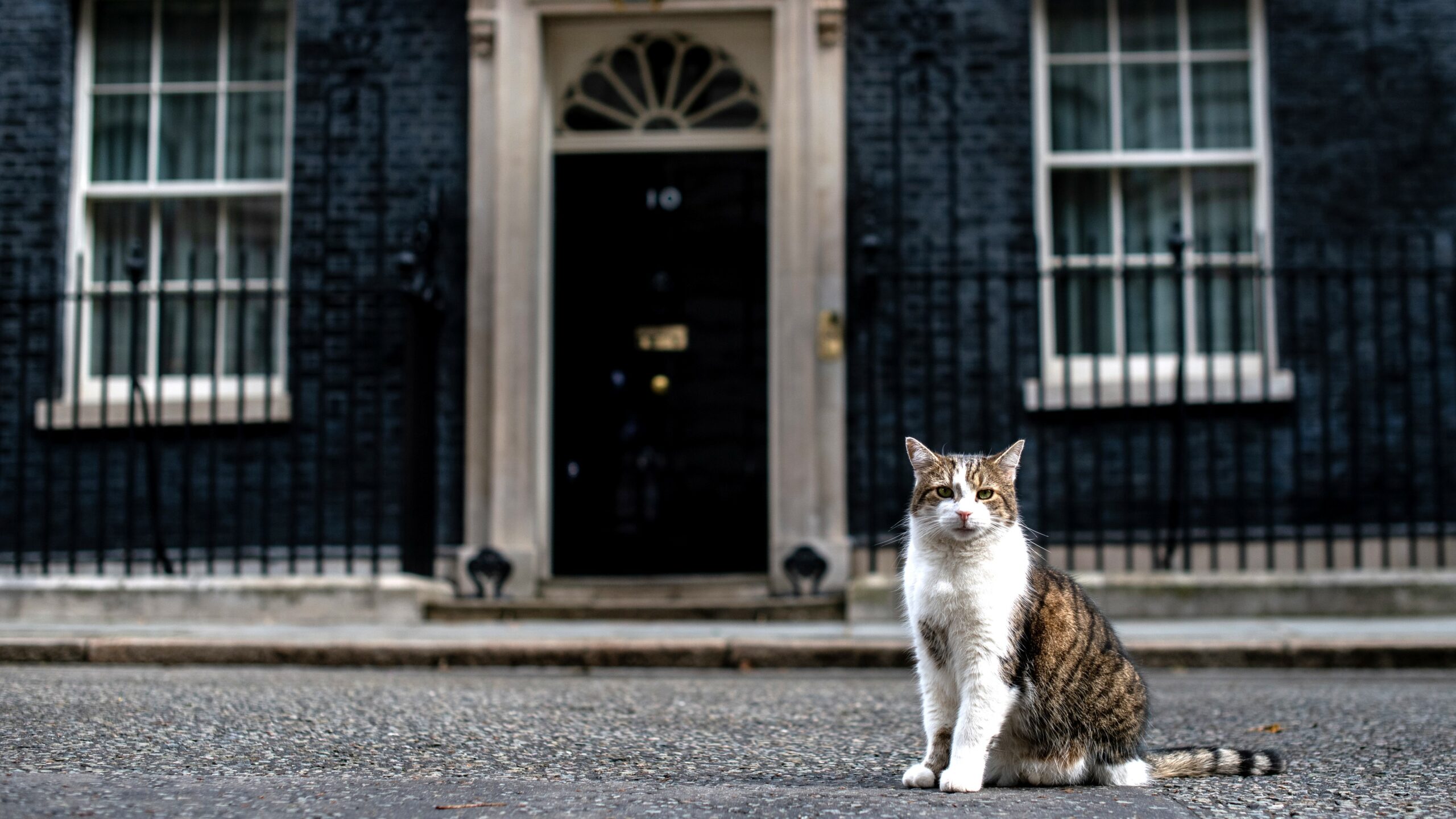 Larry the Cat Outlasts Fourth Prime Minister, Vows to 'Put an End to