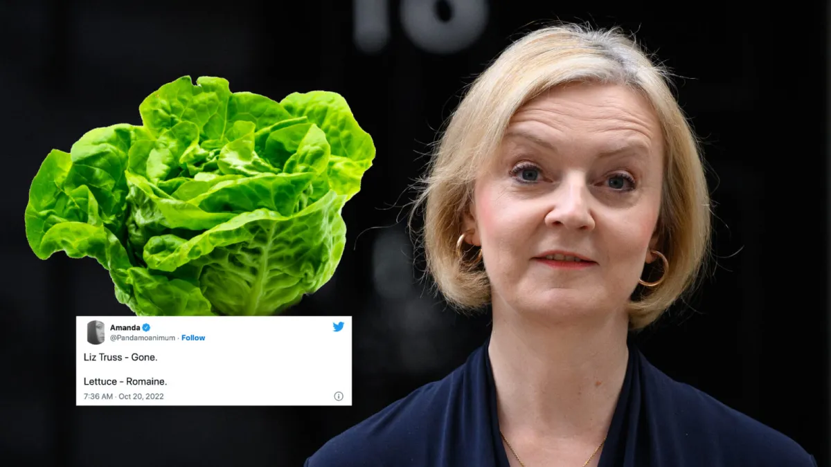 Liz Truss and a head of lettuce
