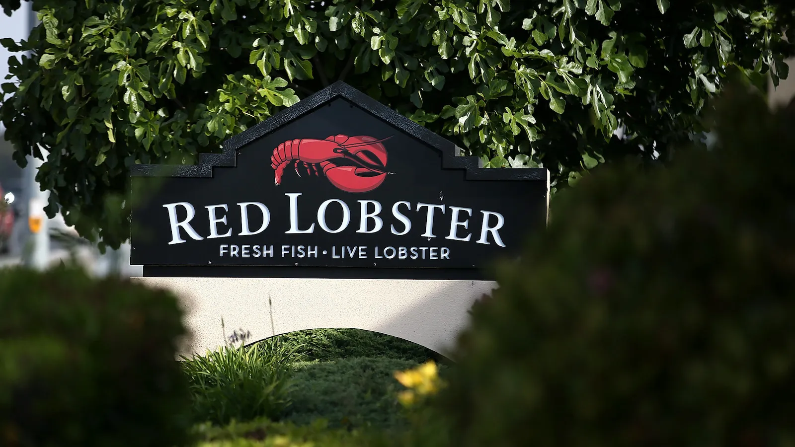 Red Lobster San Bruno, CA