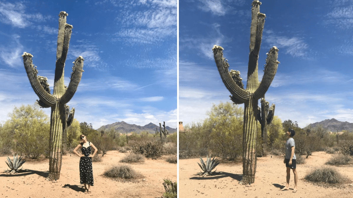 How Long Have Taylor Swift and Joe Alwyn Been Together?