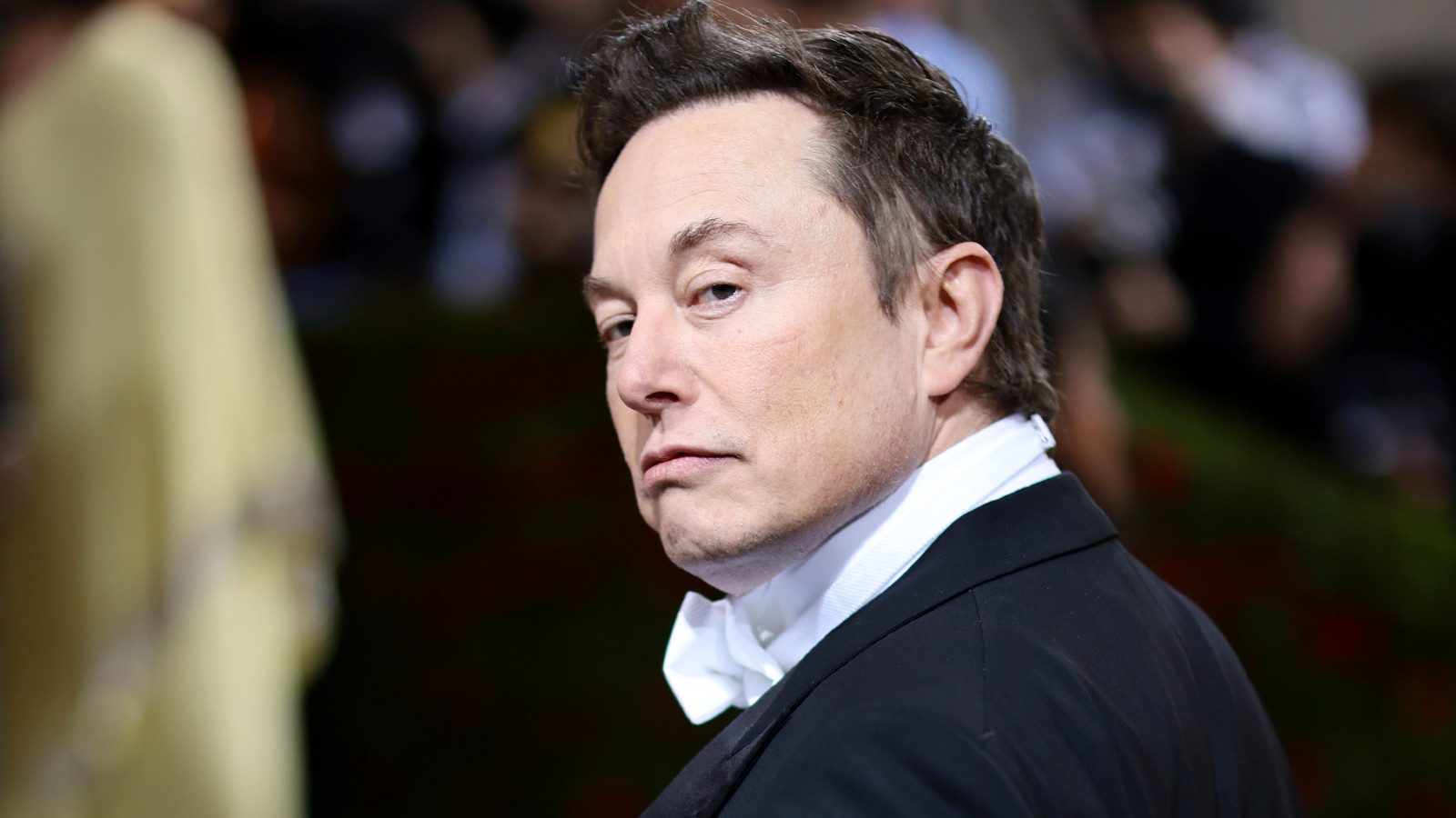 Elon Musk claims that no banned Twitter account reinstatements will happen just yet