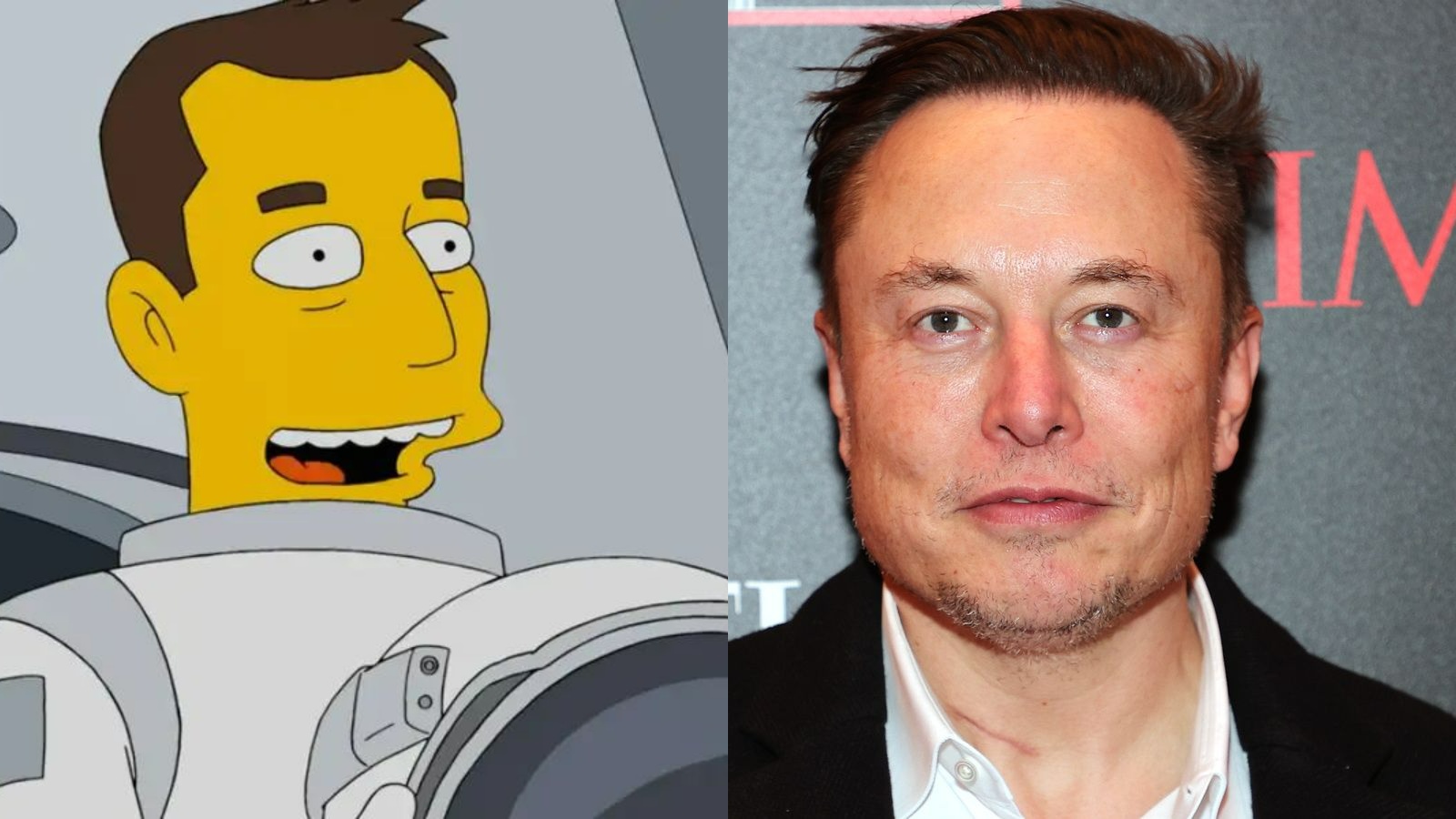 Heres All Of Elon Musks Pop Culture Appearances