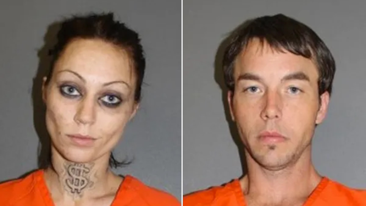 The 12 Best 'Florida Man' Headlines