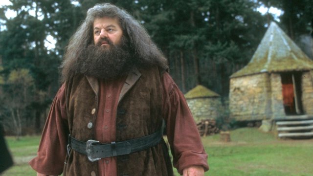 Robbie Coltrane as Rubeus Hagrid in 'Harry Potter and the Sorcerer's Stone'