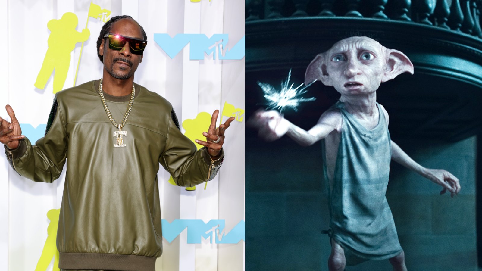 ‘Harry Potter’ star would have loved to ‘chill out’ with Snoop Dogg’s nightmarish Dobby